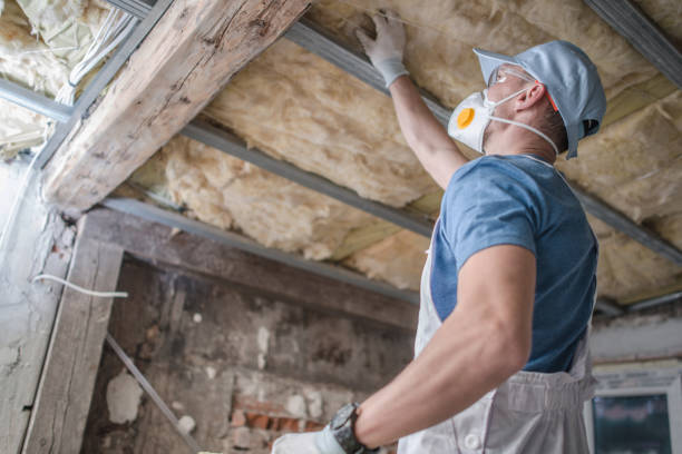 Trusted Hampshire, IL Insulation Installation & Removal Experts